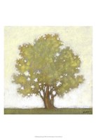 Spring Morning Fine Art Print