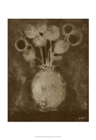 Black Lace II Framed Print