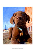 Lab Puppy Fine Art Print