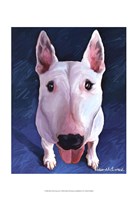 13" x 19" Bull Terrier Pictures