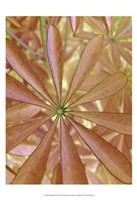 Woodland Plants in Red II Fine Art Print