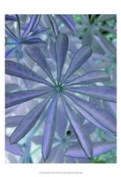 Woodland Plants in Blue I Fine Art Print