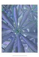 Woodland Plants in Blue II Fine Art Print