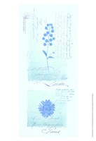 Blue Studies I Fine Art Print