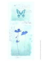 Blue Studies II Fine Art Print