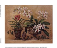 An Orchid Renaissance by Barbara Mock - 6" x 5"