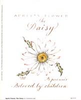 April's Flower, The Daisy Fine Art Print