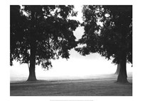 Fog in the Park II Fine Art Print