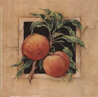 Peach Square Fine Art Print