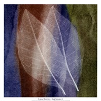 Leaf Structure I by John Rehner - 20" x 20"