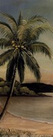 Palm at Seaside Fine Art Print