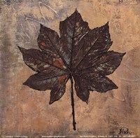 Maple III by Patricia Pinto - 6" x 6"