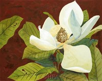 Magnolia II by George Caso - 11" x 9" - $10.49