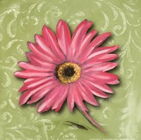 Blooming Daisy I Fine Art Print