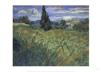 Green Wheat Fields Fine Art Print
