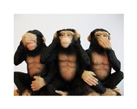 Monkeys - See No Evil, Hear No Evil, Speak No Evil Fine Art Print