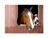 Best friends Fine Art Print