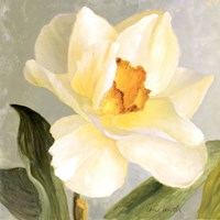 Daffodil Sky I by Lanie Loreth - 35" x 35"