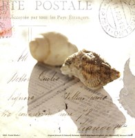 Postal Shells I Fine Art Print