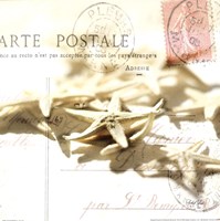 Postal Shells II Fine Art Print