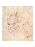 Torso Study Fine Art Print