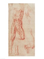 W.13r Study of a male nude, stretching upwards Fine Art Print