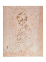 W.41 Sketch of a woman Fine Art Print