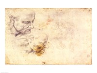 W.60 Sketch of a male head, in two positions Fine Art Print