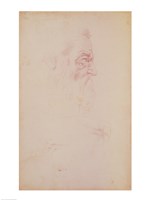 Sketch of a male head and two legs by Michelangelo Buonarroti - various sizes