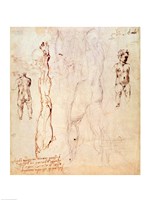 Anatomical drawings with accompanying notes Fine Art Print