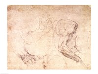 Studies of hands and an arm Fine Art Print