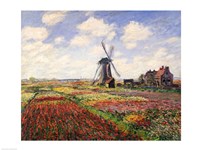 Tulip Fields with the Rijnsburg Windmill, 1886 Fine Art Print