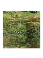 The Waterlily Pond, 1904 Fine Art Print