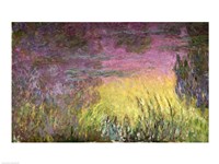 Waterlilies at Sunset, 1915-26 (detail of left side) Fine Art Print
