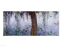 Waterlilies: Morning with Weeping Willows, detail of the right section, 1915-26 Fine Art Print