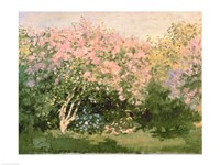 Lilac in the Sun, 1873 by Claude Monet, 1873 - various sizes