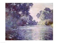 Branch of the Seine near Giverny, 1897 detail Fine Art Print