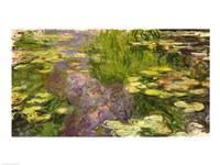 Waterlilies (green horizontal) Fine Art Print