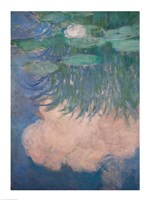 Waterlilies, detail, 1914-17 Fine Art Print