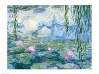 Waterlilies, 1916-19 Fine Art Print