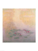 Nympheas, 1908 Fine Art Print