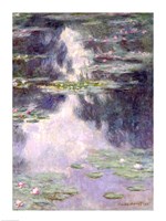Pond with Water Lilies, 1907 Fine Art Print
