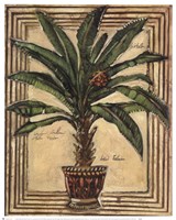 Potted Palm II Fine Art Print