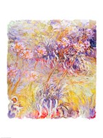 Impression: Flowers by Claude Monet - various sizes