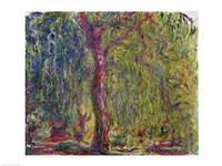 Weeping Willow, 1918-19 Fine Art Print