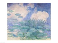Waterlilies, 1914-17 reflection Fine Art Print