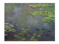 Waterlilies (green with blue) Fine Art Print