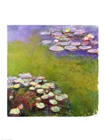 Waterlilies, Harmony in Blue, 1914-17 Fine Art Print