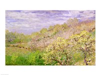 Trees in Blossom Fine Art Print