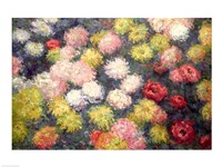 Chrysanthemums, 1897 Fine Art Print